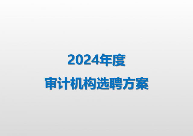 DB视讯技术2024年度审计机构选聘方案